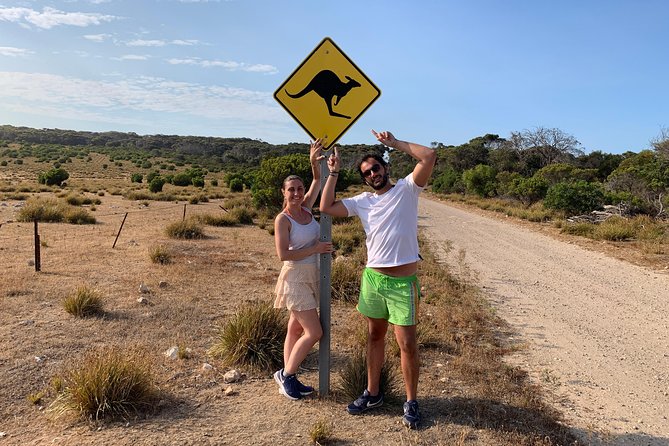 Small Group Kangaroo Island Evening and Night Tour - Vehicle, Seating, and Your Guide: Why Luca Shows Up in Many Stories