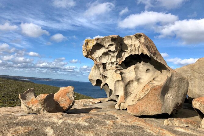 Small Group Kangaroo Island Tour - Best of KI - Snelling Beach: a 600 m stretch where koalas and kangaroos can be nearby
