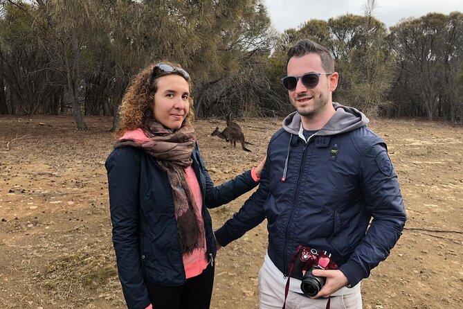 Small Group Kangaroo Island Tour - Best of KI - Price and value: what $304.83 includes that you would otherwise pay for