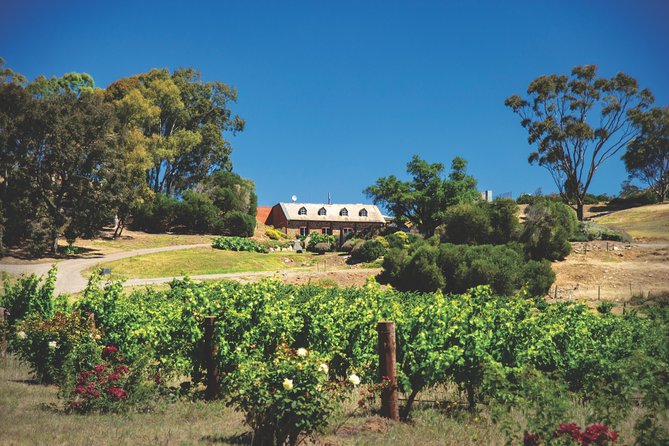 Small Tour Barossa Valley Voyager Tour from Adelaide - Wanera Wine Bar: lunch that resets your palate (and your attitude)