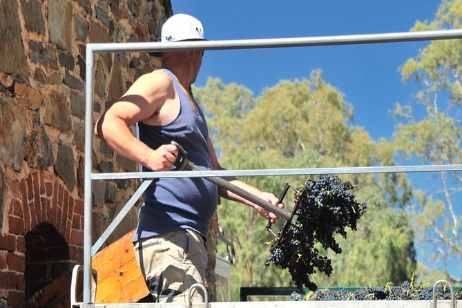Small Tour Barossa Valley Voyager Tour from Adelaide - Your wine tasting menu: what grapes you’ll likely meet