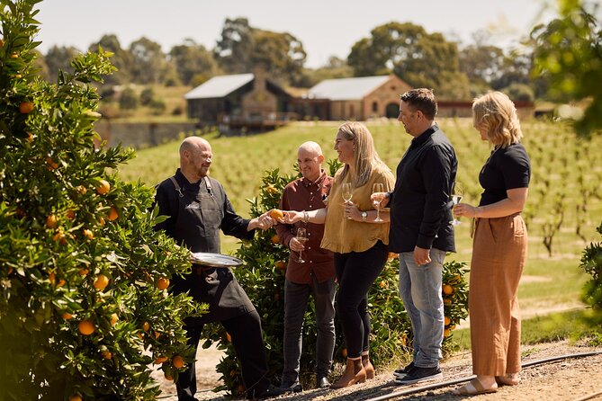 St Hugo Garden to Table Experience & Lunch - Chef’s Table at St Hugo: what you’re really buying