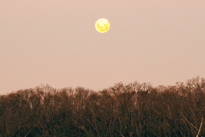 Sunset Nocturnal Adventure Tour - Price and value: is $60.97 worth it?
