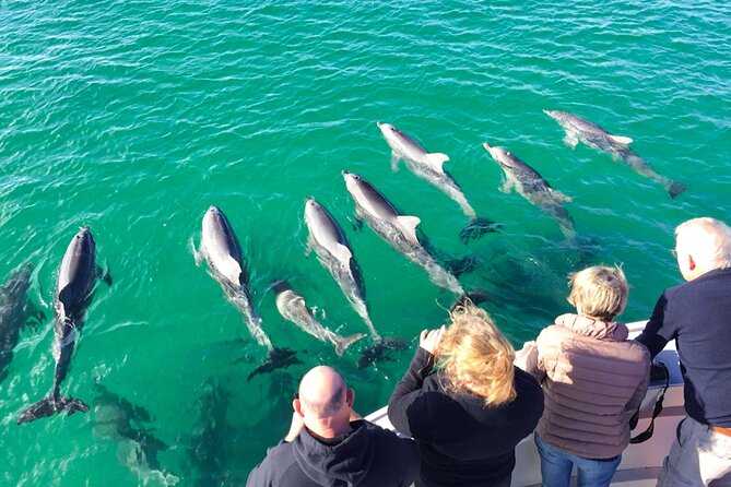 Sunset Nocturnal Adventure Tour - Should you book it? My take