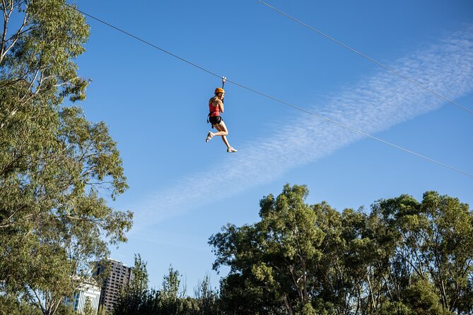 Tree Top Activity for Thrill Seekers and Adventurers in Adelaide - Quick hits before you climb