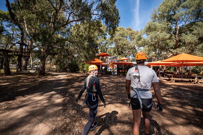 Tree Top Activity for Thrill Seekers and Adventurers in Adelaide - Who should book the Grand Course—and who should skip it