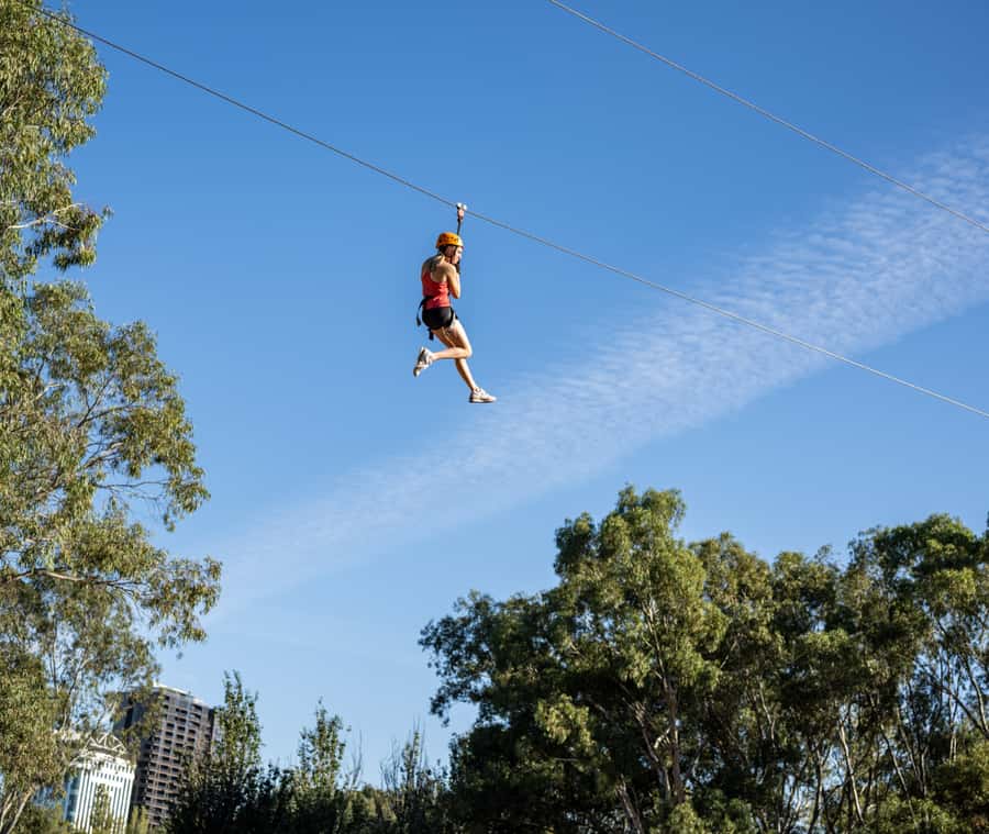 TreeClimb Adelaide: Thrilling Climb For Adventurers - The obstacle mix: rope bridges, zip lines, and the Tarzan moment