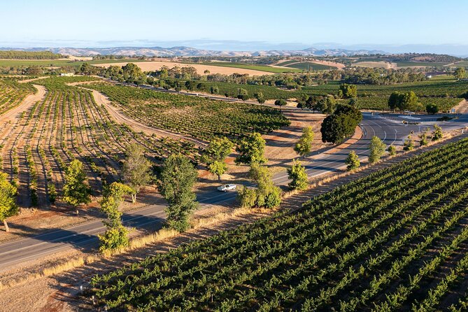 Ultimate Barossa Adventure Day Tour For 2 - Combined Mustang Convertible-Trike - Price and value: is $324.44 per person fair for what you get?