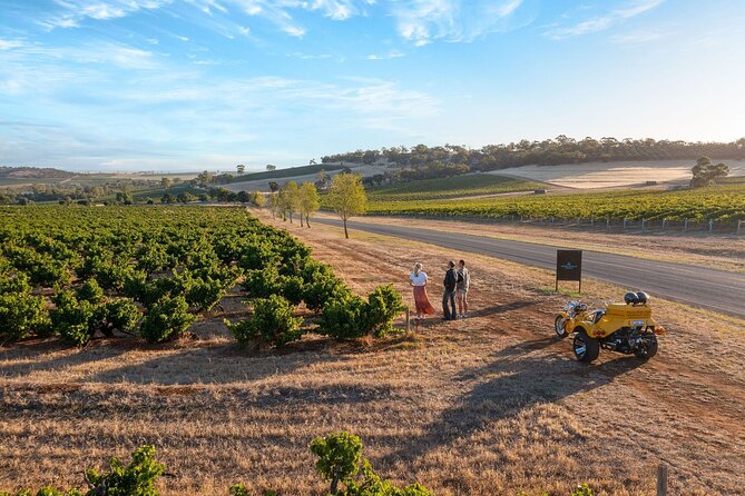 Unique Trike Barossa Valley Half Day Private Tour For 2 - Price and What You Get for $222