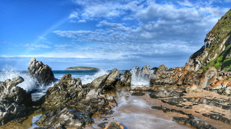 Victor Harbor and Fleurieu Peninsula Tour - Key things to love about this Victor Harbor tour