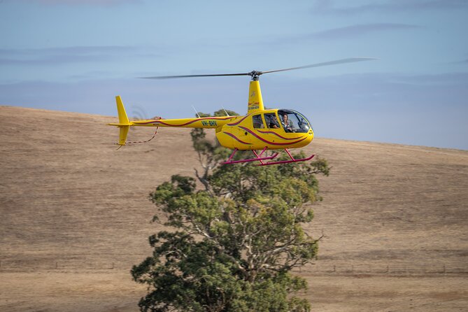 Western Ridge & Valley Floor: 20-Minute Helicopter Flight - Private group means you keep the vibe (and the pace)
