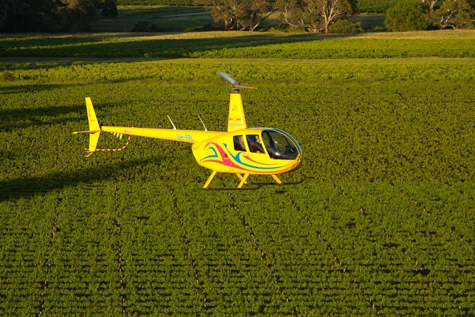 Western Ridge & Valley Floor: 20-Minute Helicopter Flight - The headset gives you the story behind the view